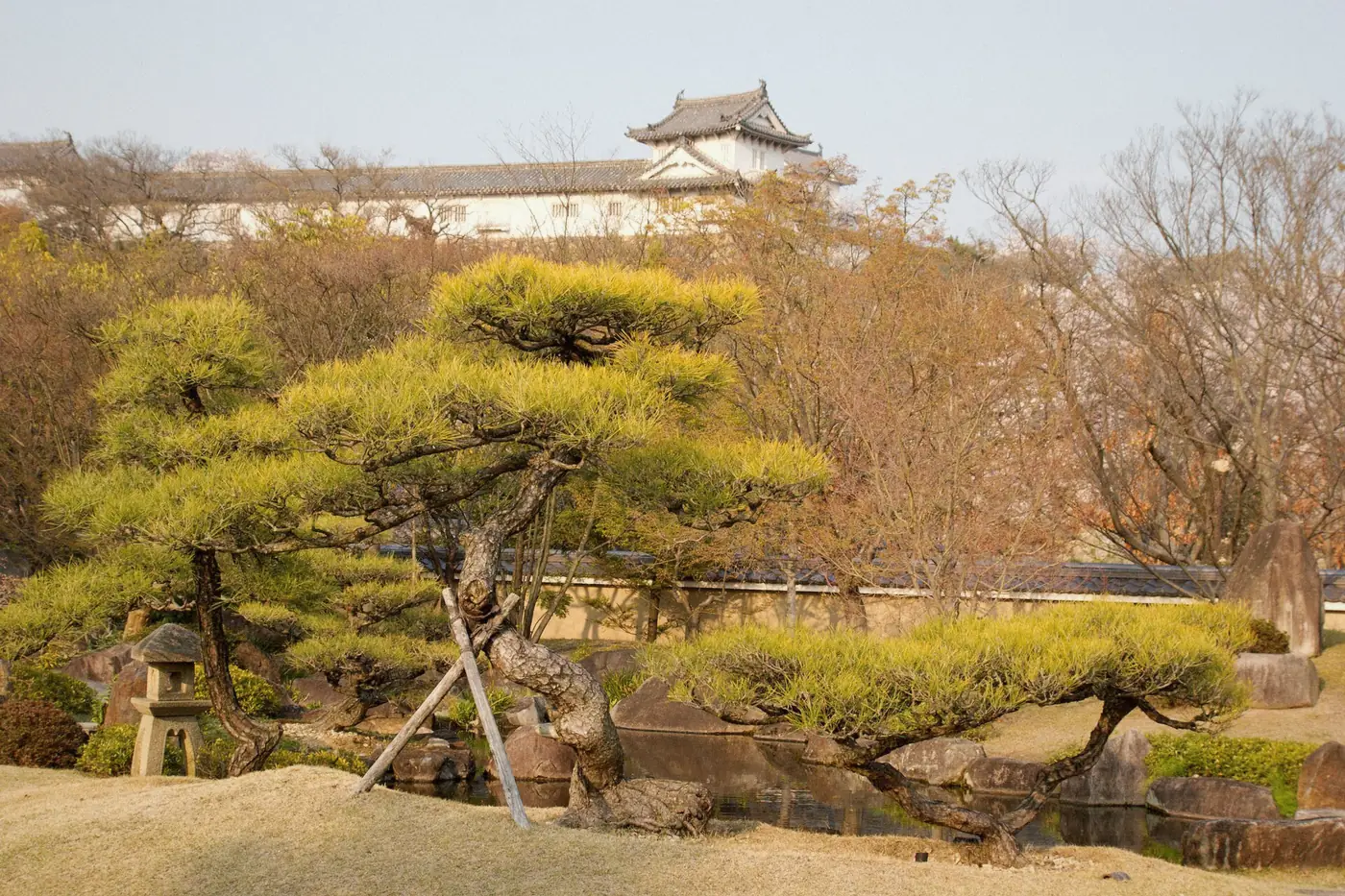Stone lantern among clipped shrubs in Koko-en Garden, Himeji, Japan