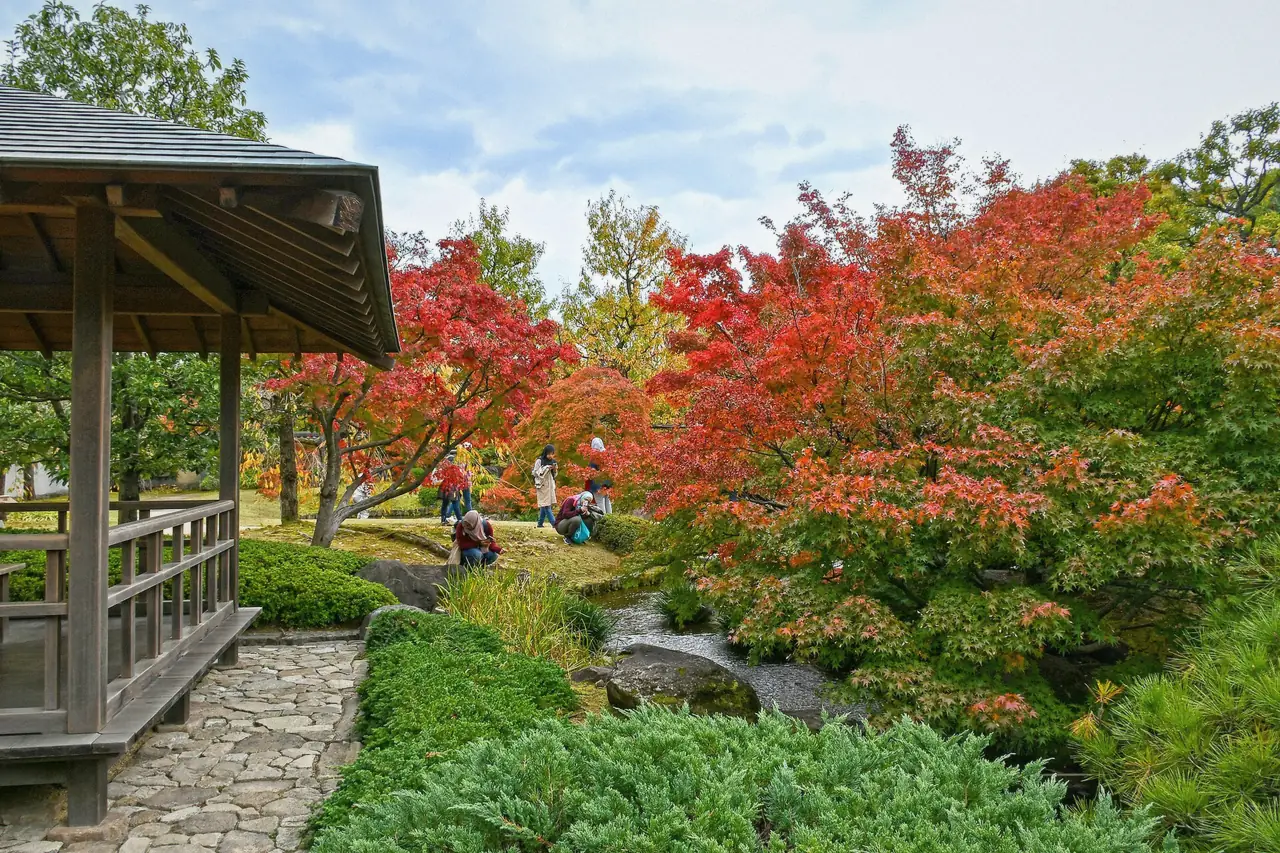 Raked paths and clipped pines in Koko-en Garden beside Himeji Castle in Japan