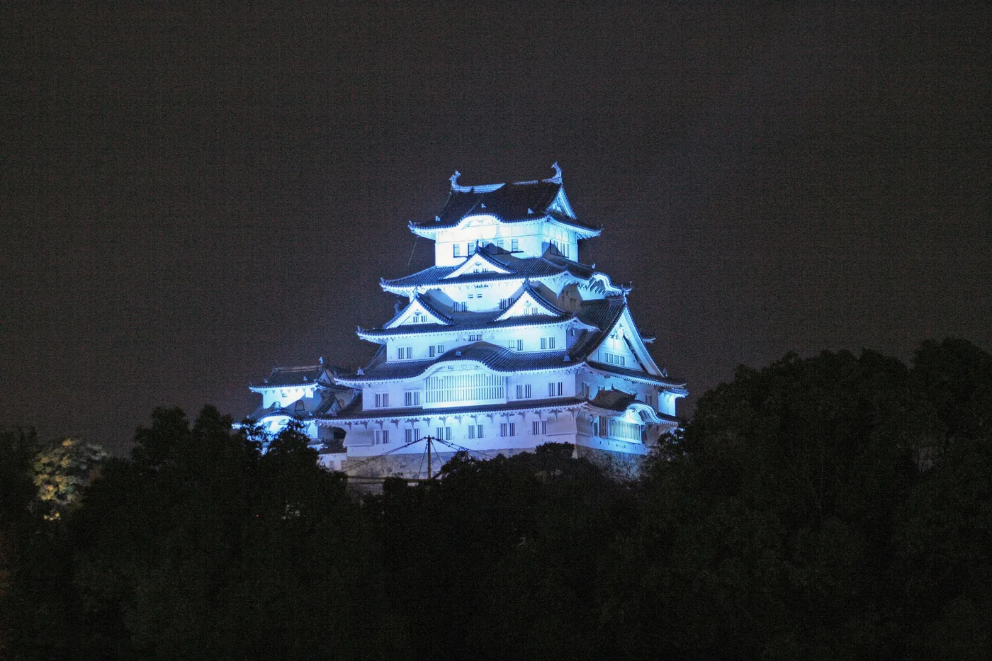 Himeji Castle keep illuminated at night above the cherry blossoms in Japan