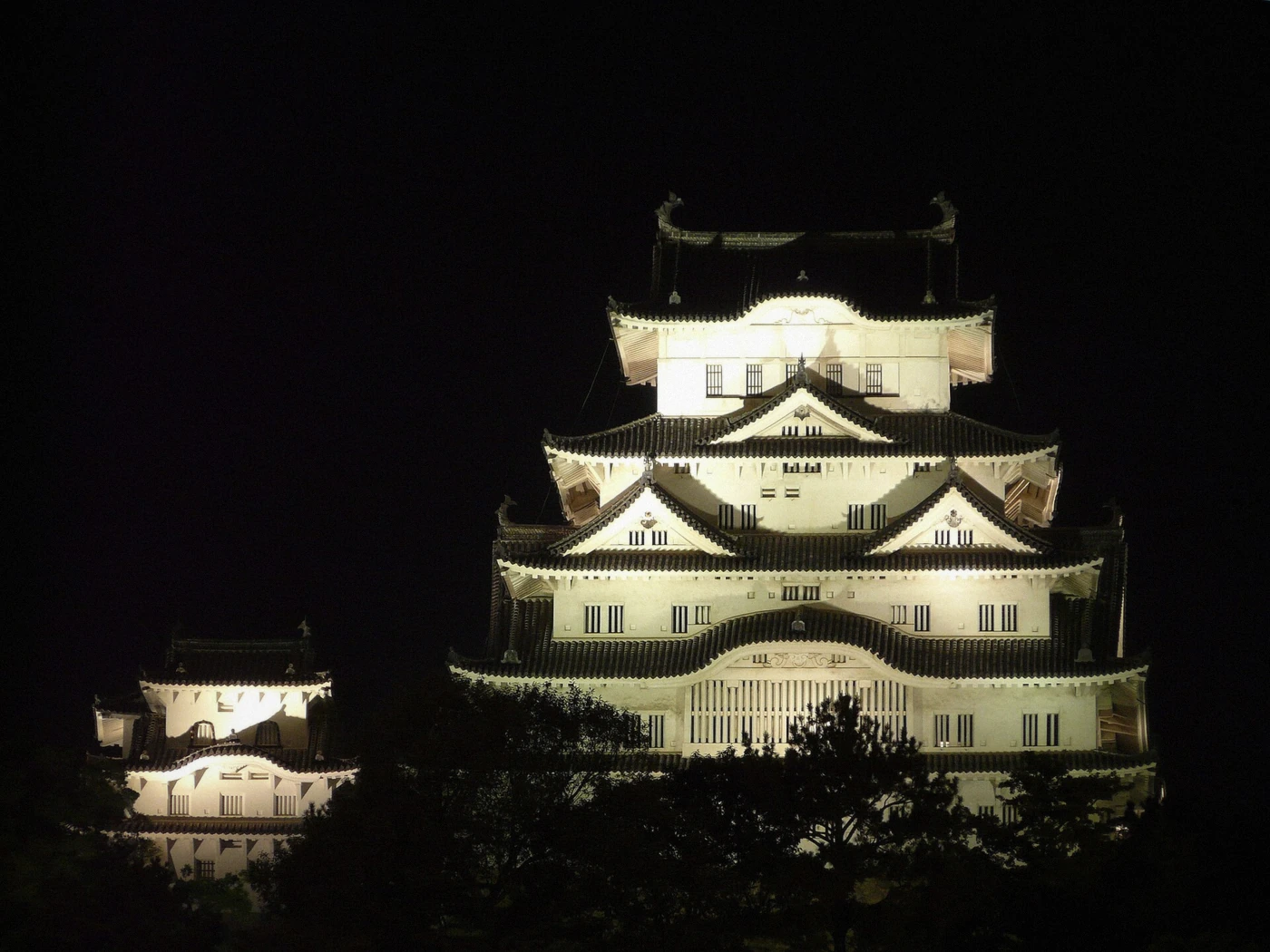 Himeji Castle lit at night above the dark grounds in Himeji, Japan
