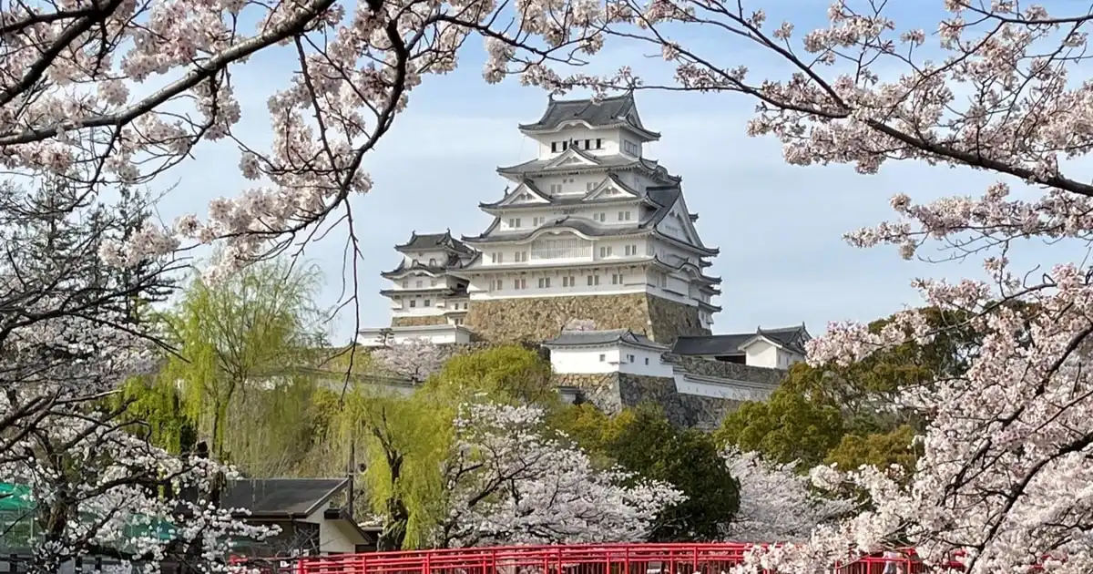 Licensed guide explaining the keep of Himeji Castle to a small group on the Best of Himeji Castle tour in Japan